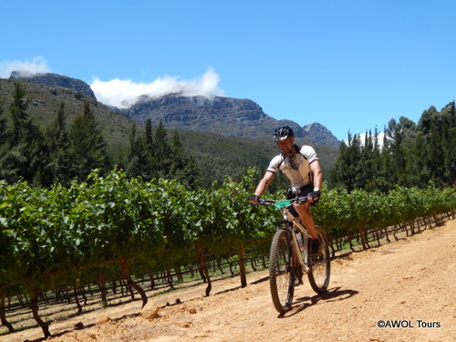 Winelands cycling Wellington